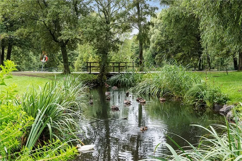 Bostadsrätt, Nybodagatan 7, Solna