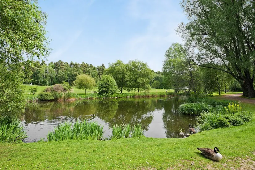 Bostadsrätt, Nybodagatan 7, Solna