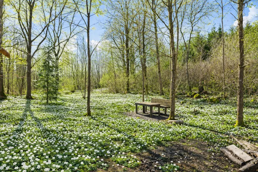 Villa, Rögnaröd 4662, Klippan