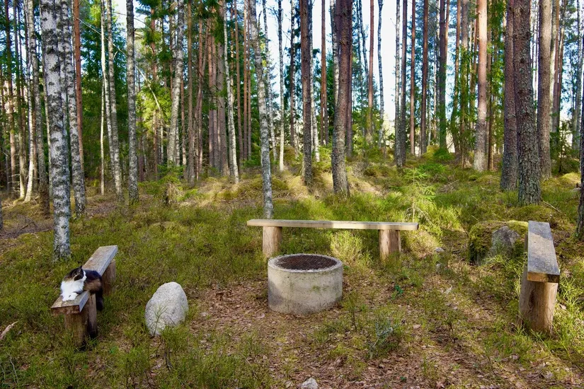 Gård/Skog, Eker 369, Eker, Örebro