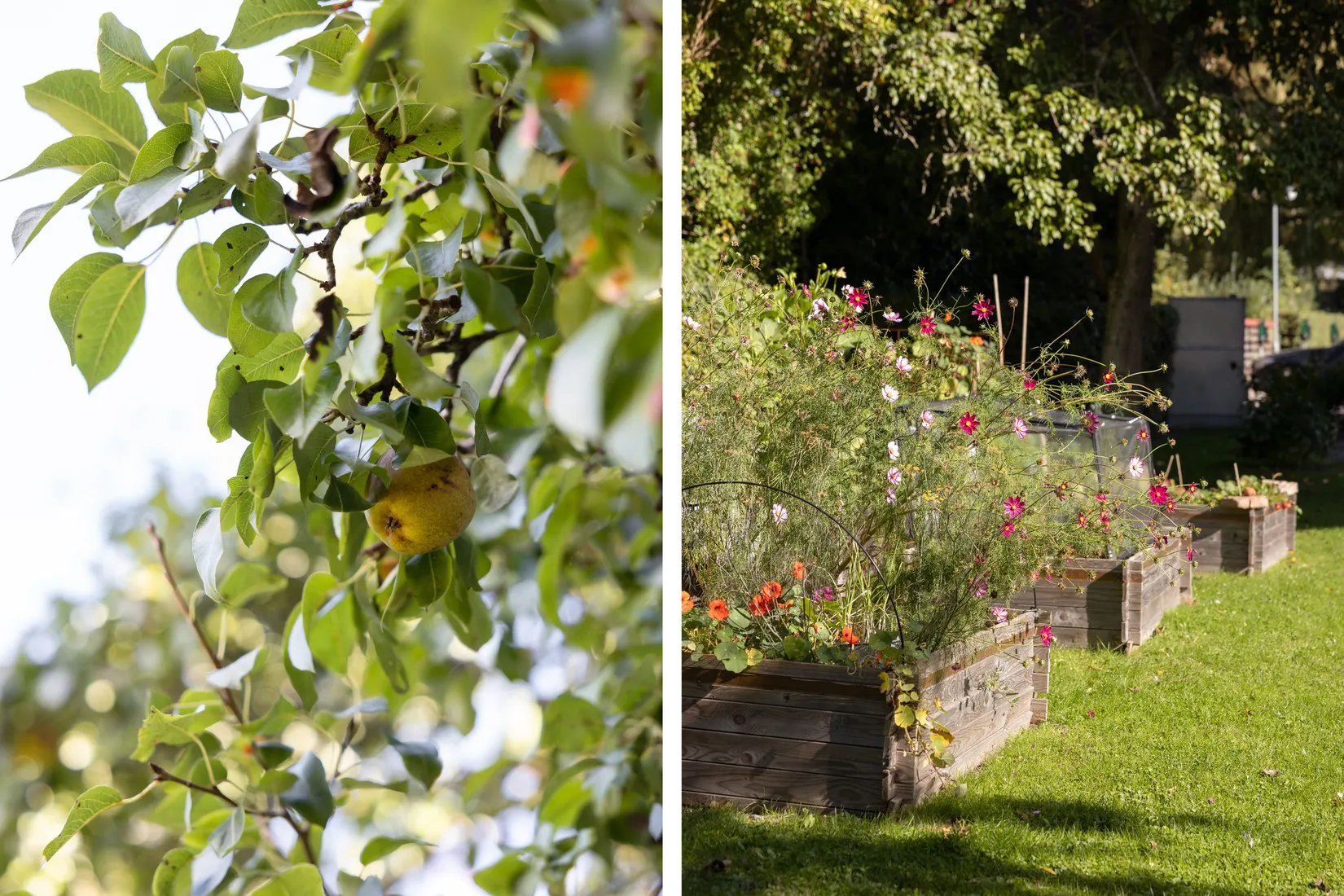 Bostadsrätt, Revingegatan 19A, Lund - Centrum, Lund