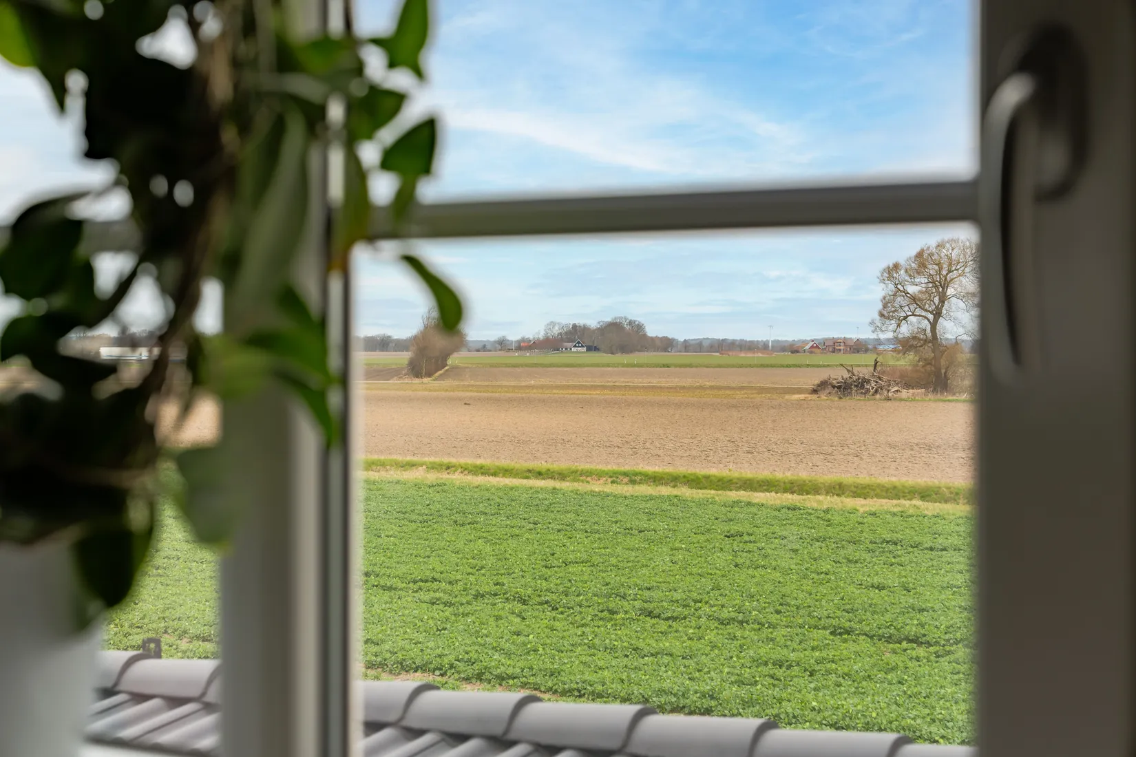 Villa, Hustoftavägen 101, Höganäs