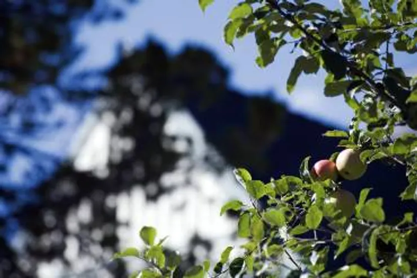 Villa, Gamla landsvägen 3 - Försprångsannons, Sandared, Borås
