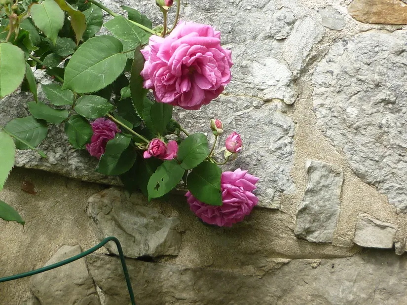 Villa, Gladsaxvägen 11, Baskemölla, Simrishamn