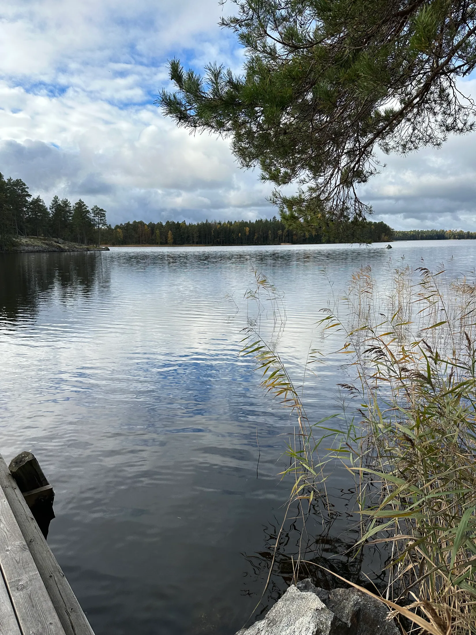 Gård/Skog, Forsa Kärrsäter 1, Forsa, Katrineholm