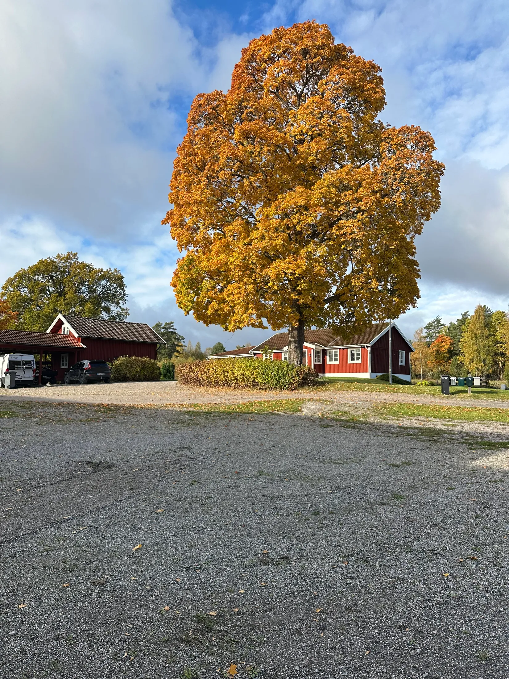 Gård/Skog, Forsa Kärrsäter 1, Forsa, Katrineholm