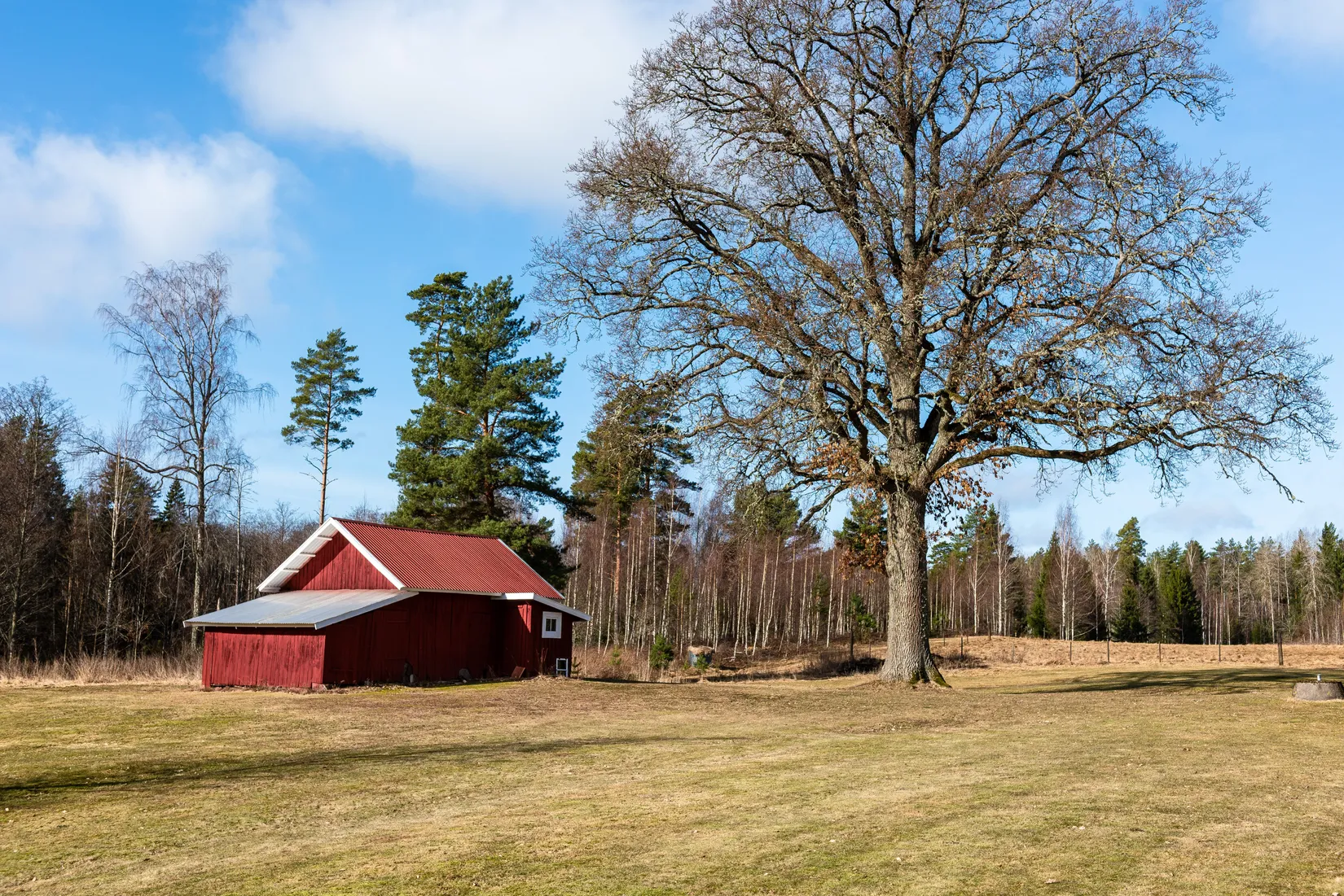 Gård/Skog, Forsa Kärrsäter 1, Forsa, Katrineholm