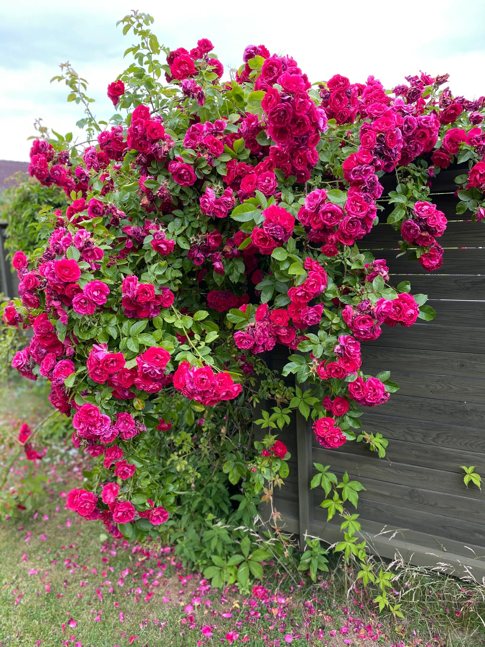 Bostadsrätt, Sidvindsvägen 70, Tallboda, Linköping