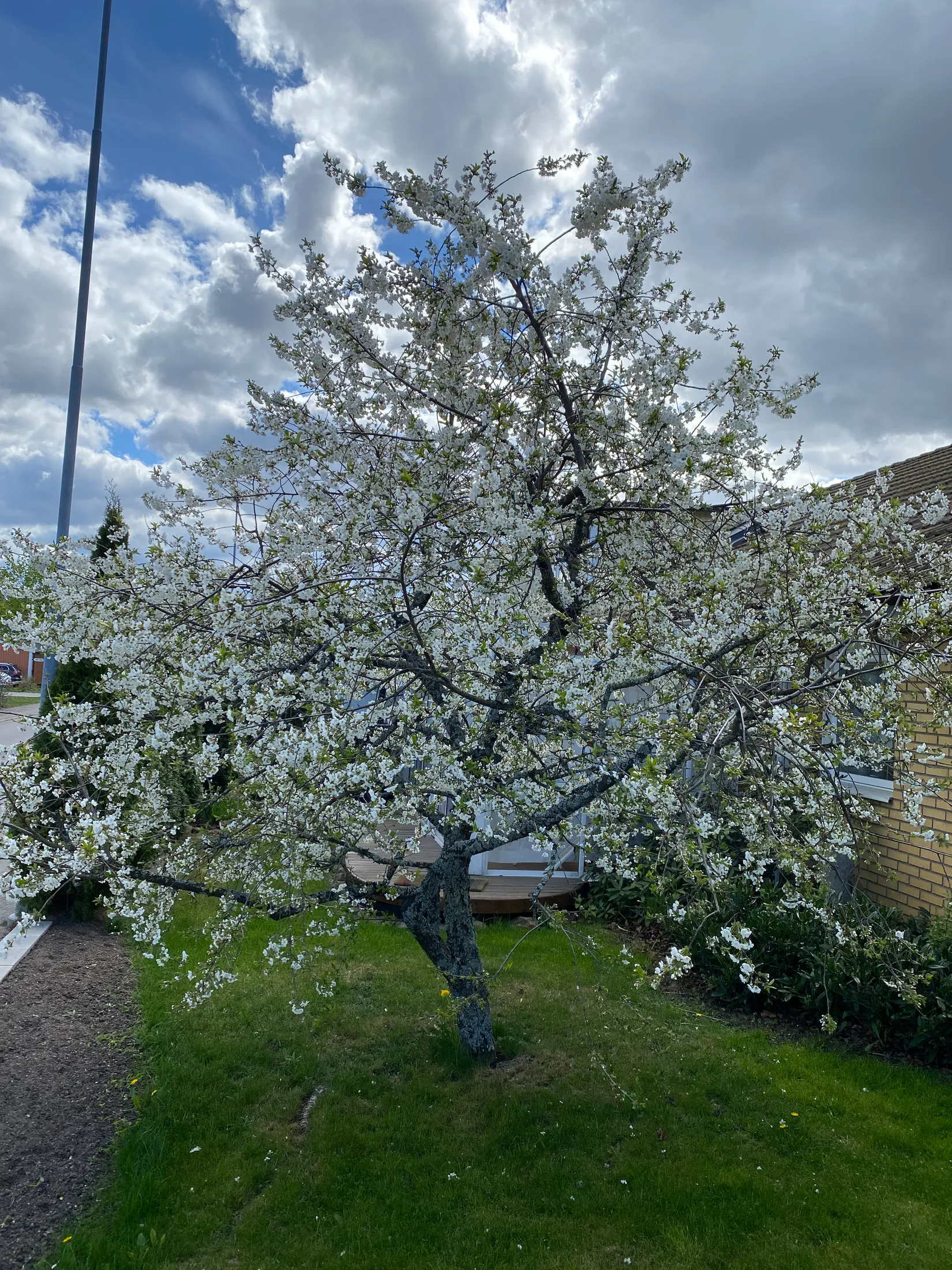 Bostadsrätt, Sidvindsvägen 70, Tallboda, Linköping