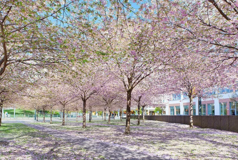 Bostadsrätt, Heliosgatan 18b, Hammarby Sjöstad, Stockholm