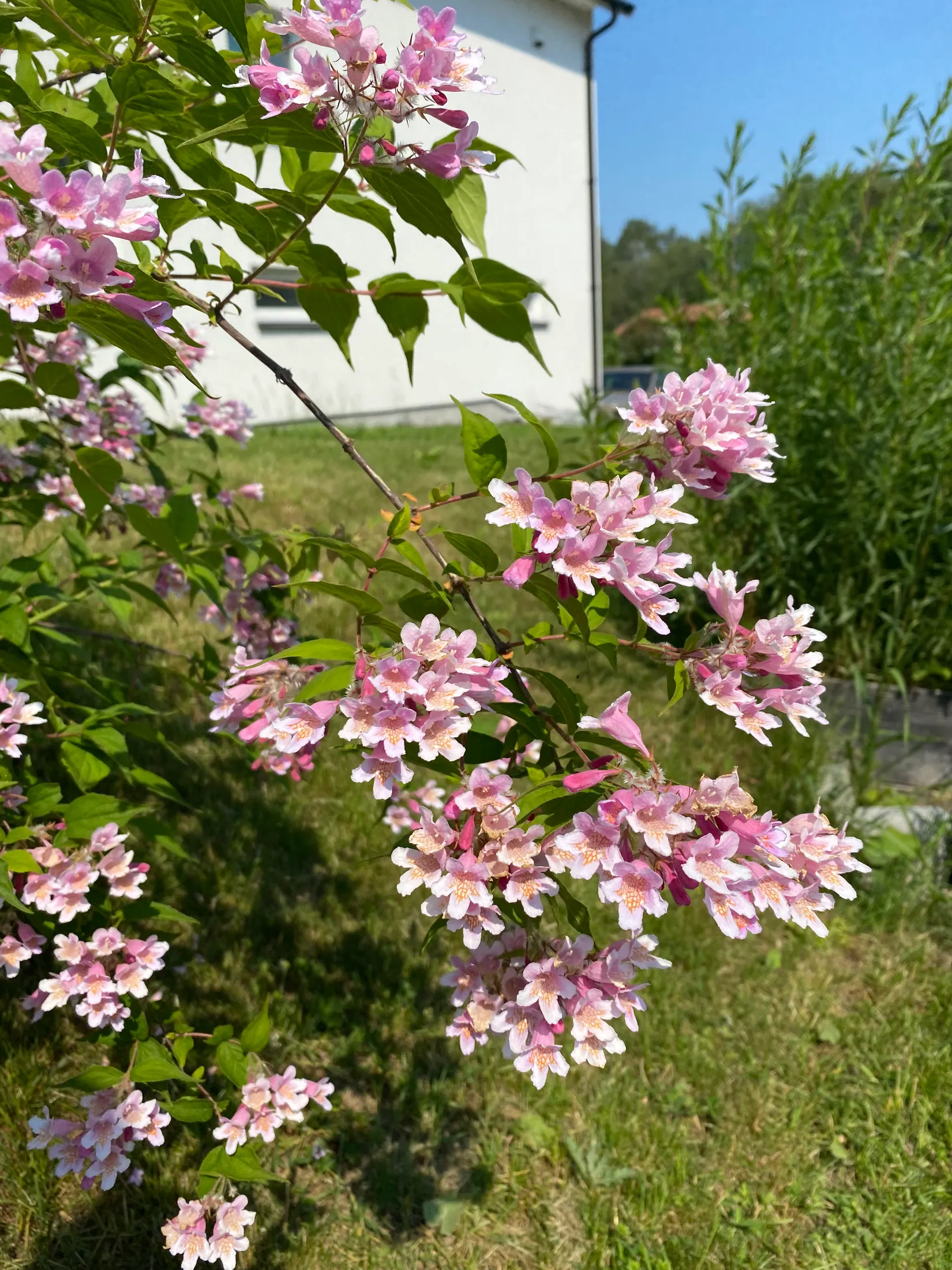 Villa, Bregstavägen 29, Danmark, Uppsala