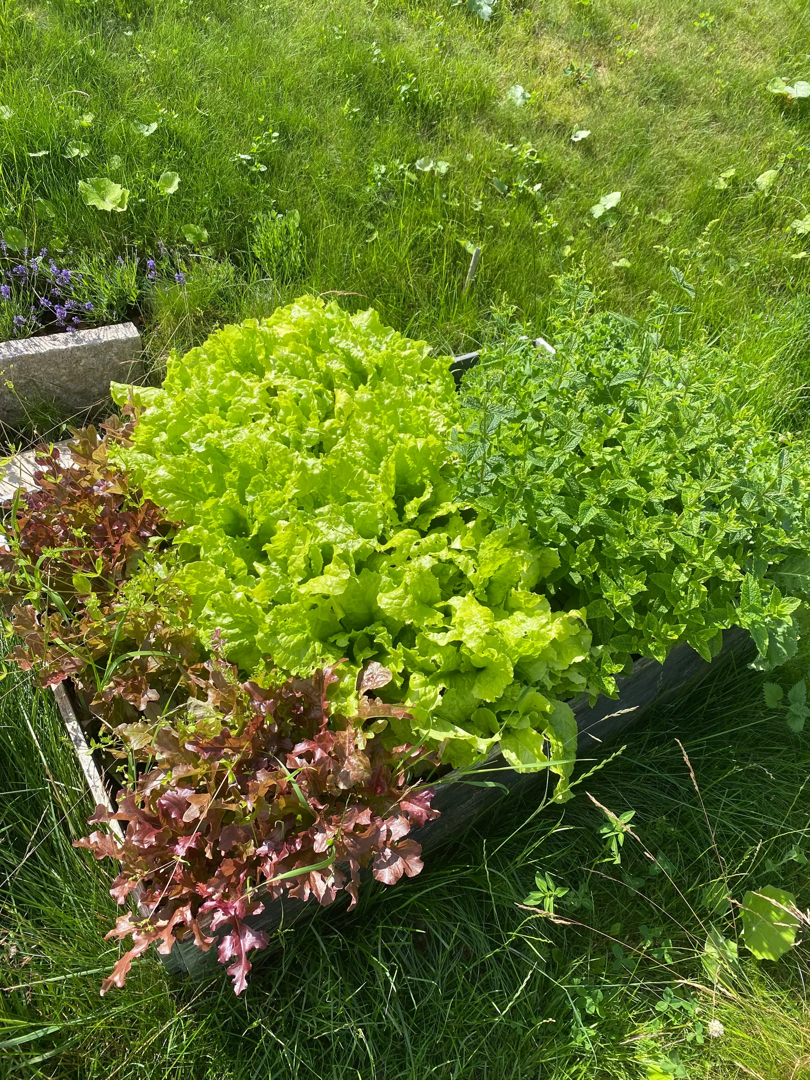 Villa, Bregstavägen 29, Danmark, Uppsala