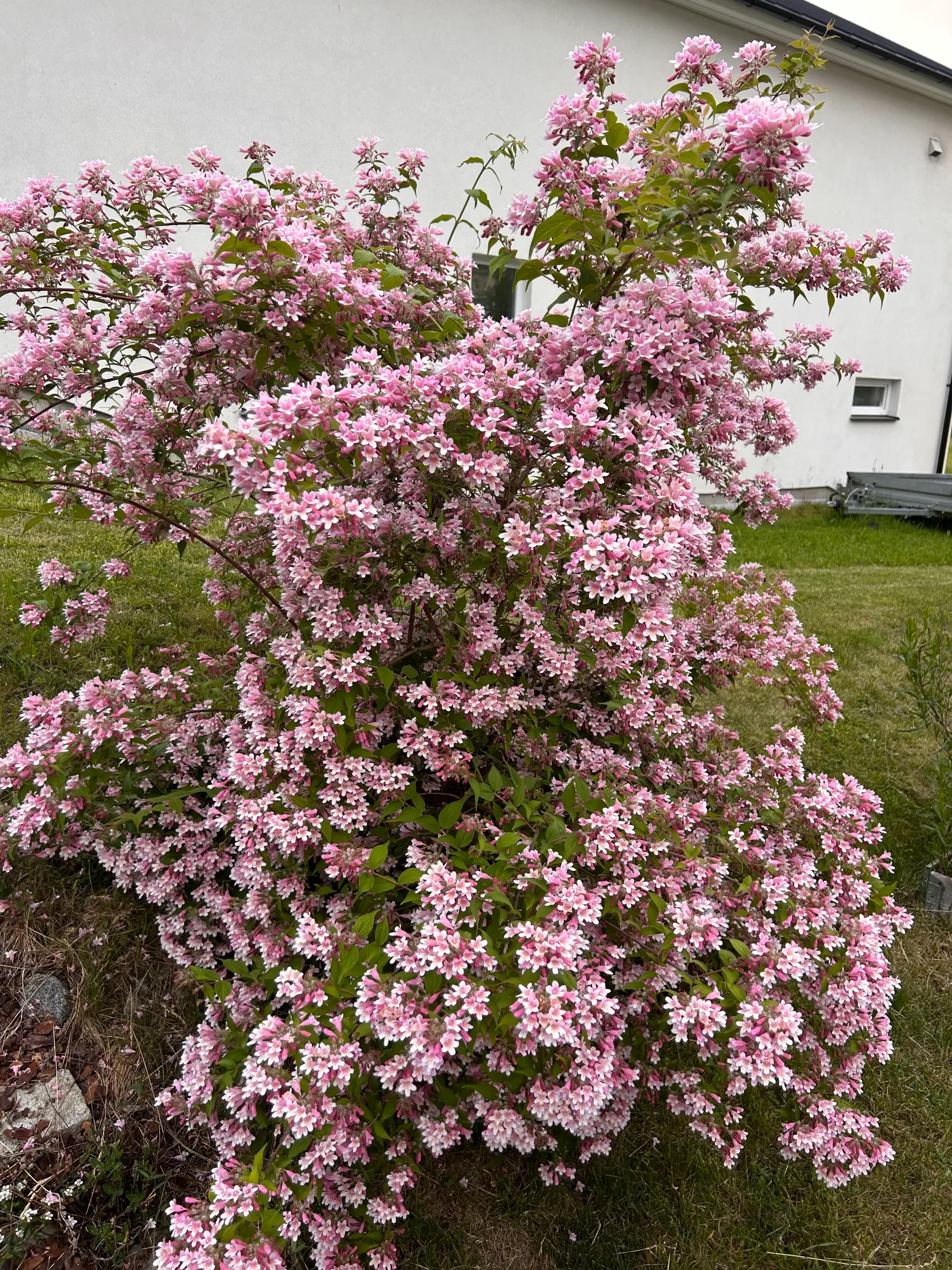 Villa, Bregstavägen 29, Danmark, Uppsala