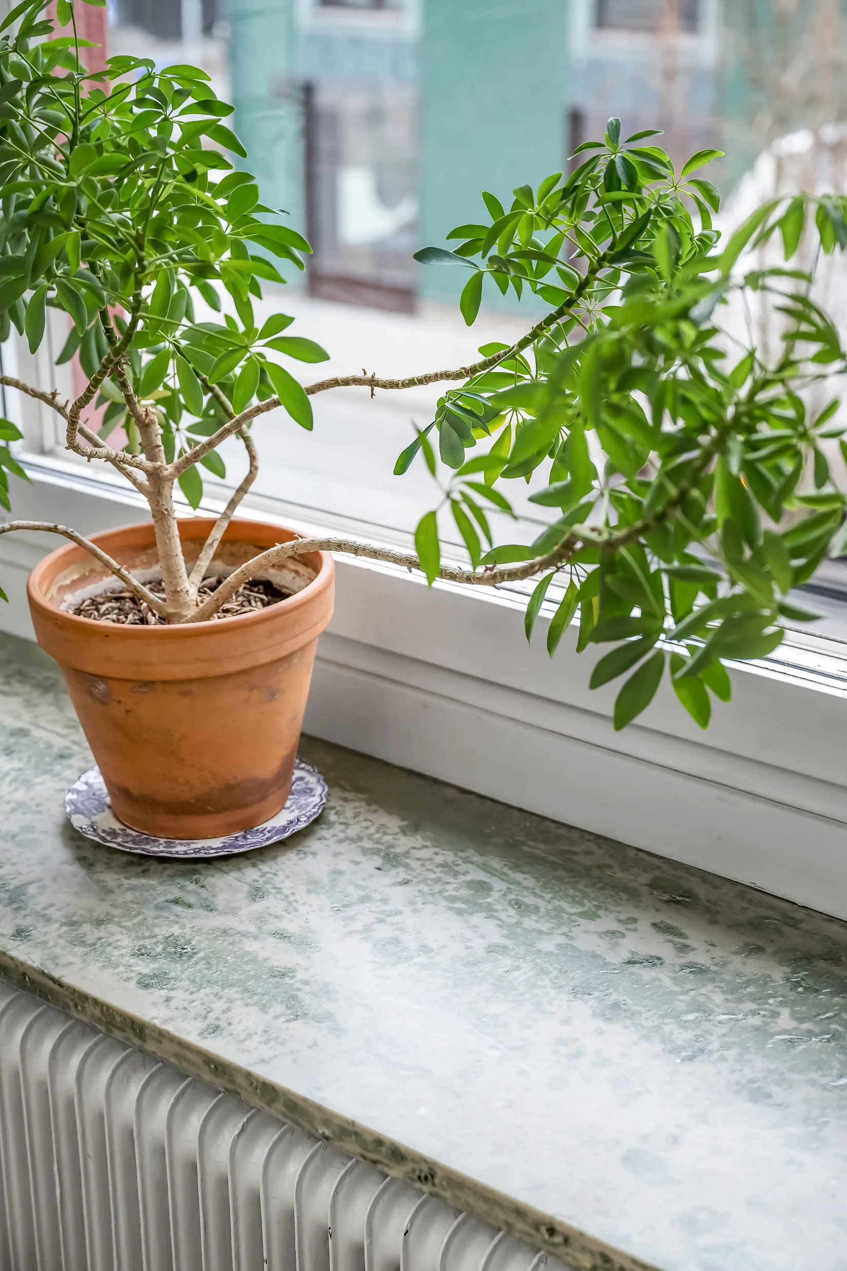 Bostadsrätt, Repslagaregatan 17B, Centralt, Norrköping