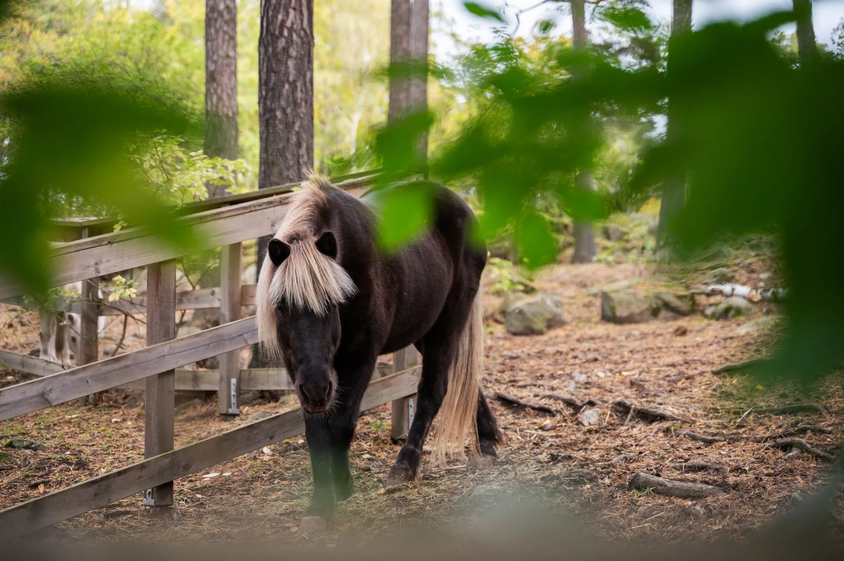 Bostadsrätt, Blommensbergsvägen 103, Aspudden, Stockholm