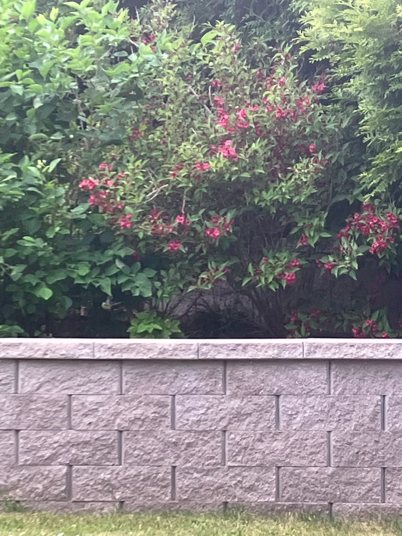 Villa, Söderhagsvägen 7, Vega Söderhagen Sjönära, Haninge