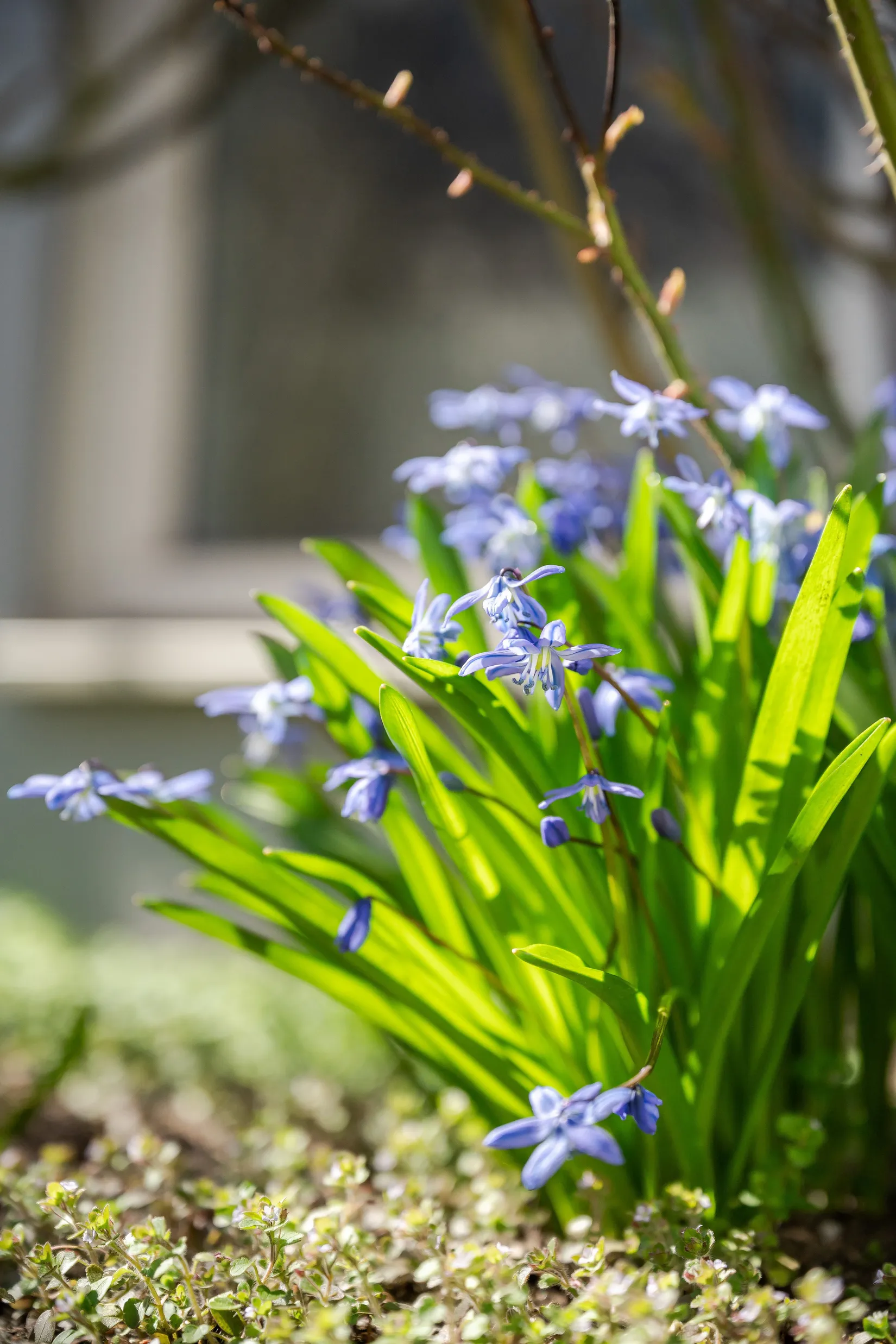 Bostadsrätt, Vallgatan 27, Hässleholm - Centralt, Hässleholm