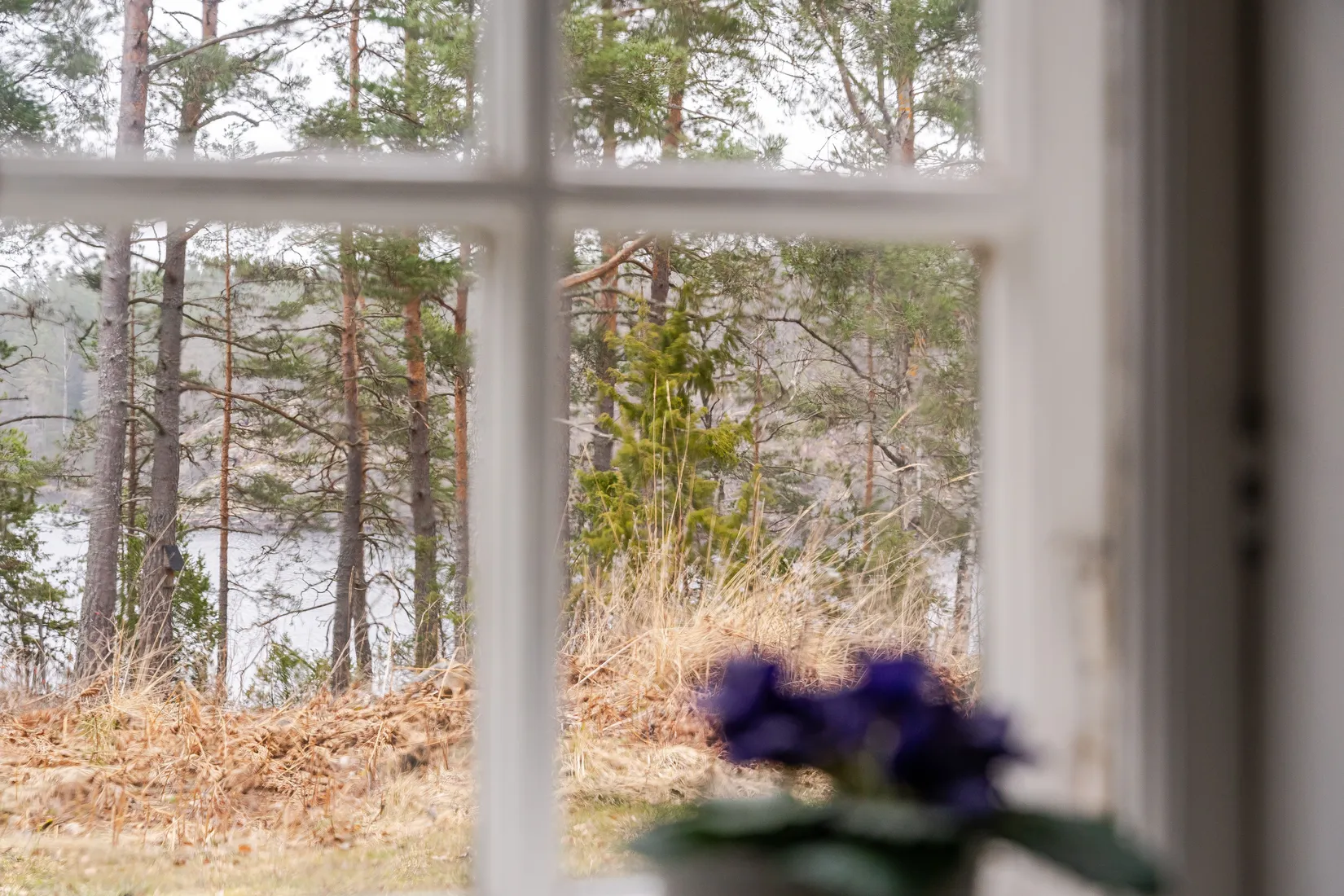 Fritidshus, Pulsholmen Holmdalen, Norrköping