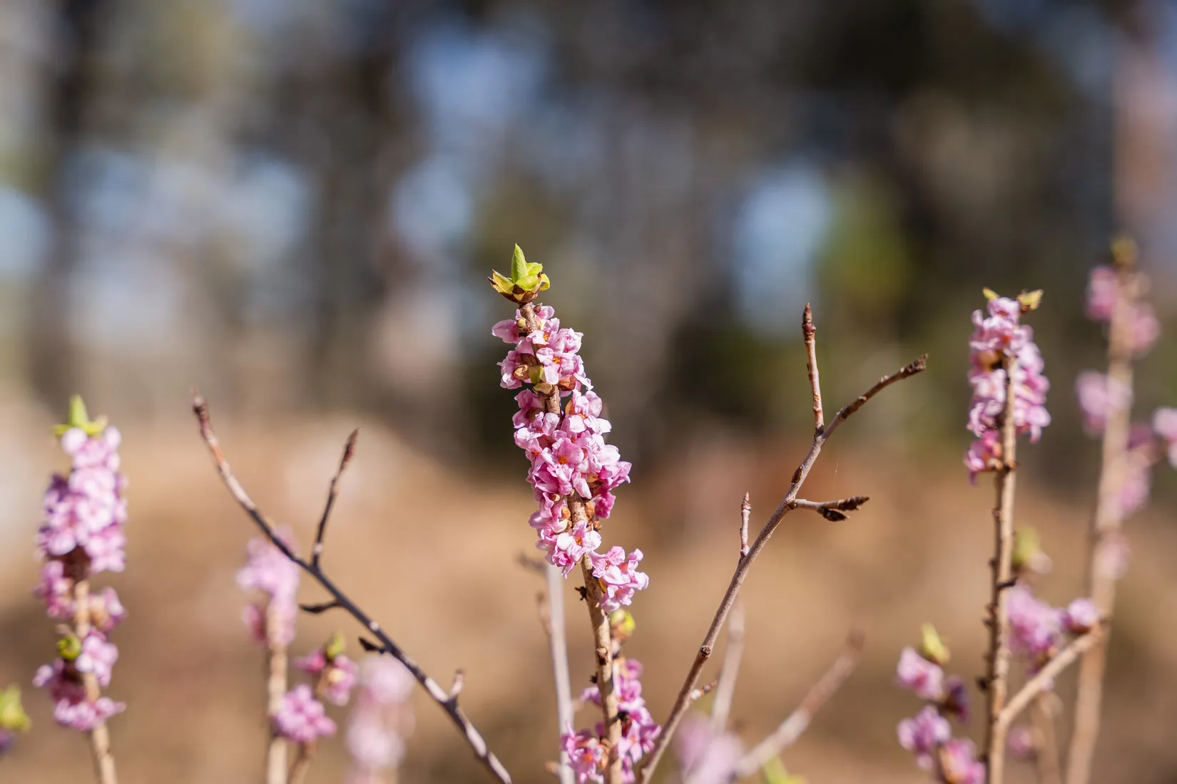 Fritidshus, Pulsholmen Holmdalen, Norrköping