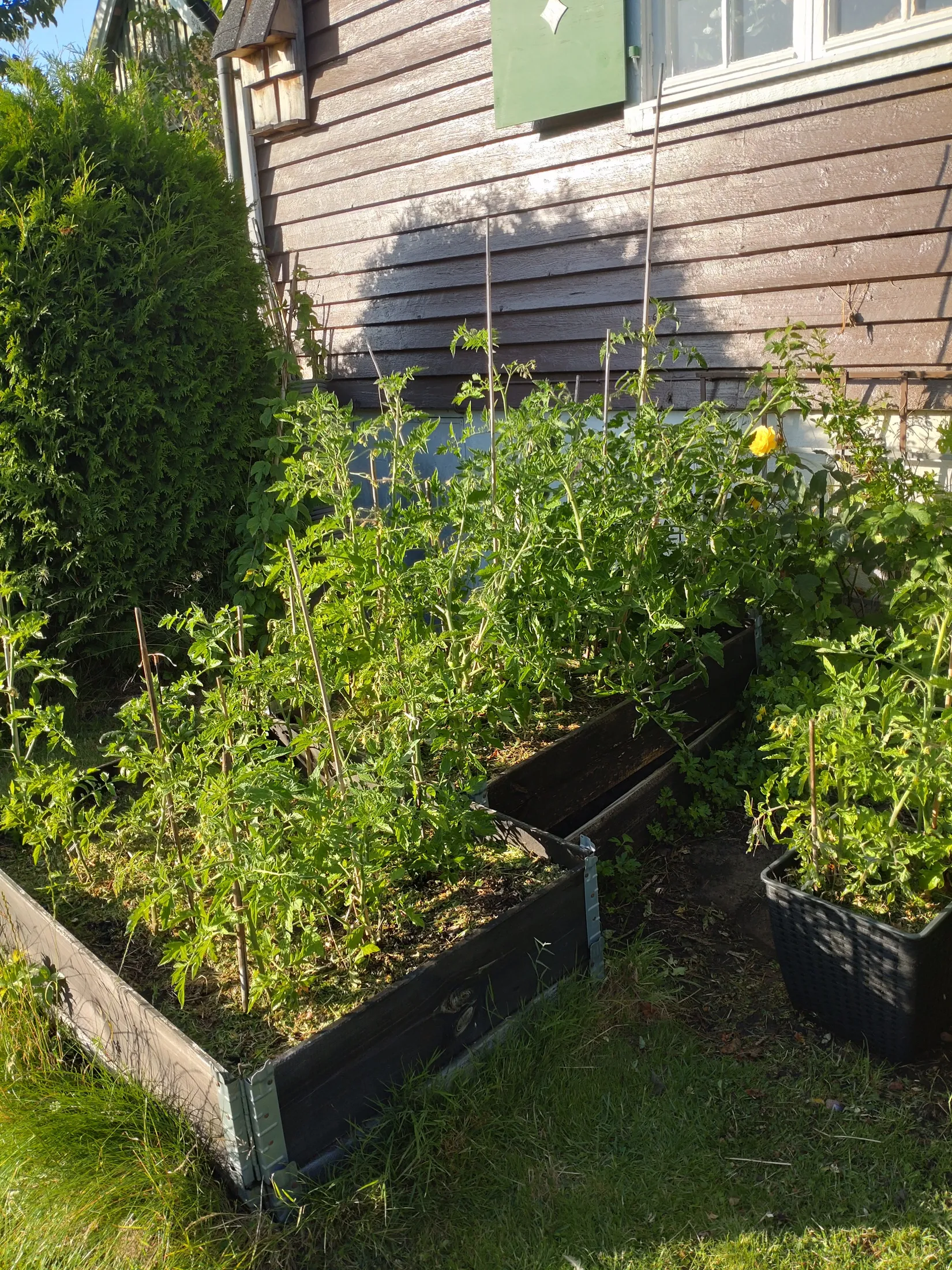 Övrigt, Närlunda Koloniförening stuga 25, Närlunda, Helsingborg