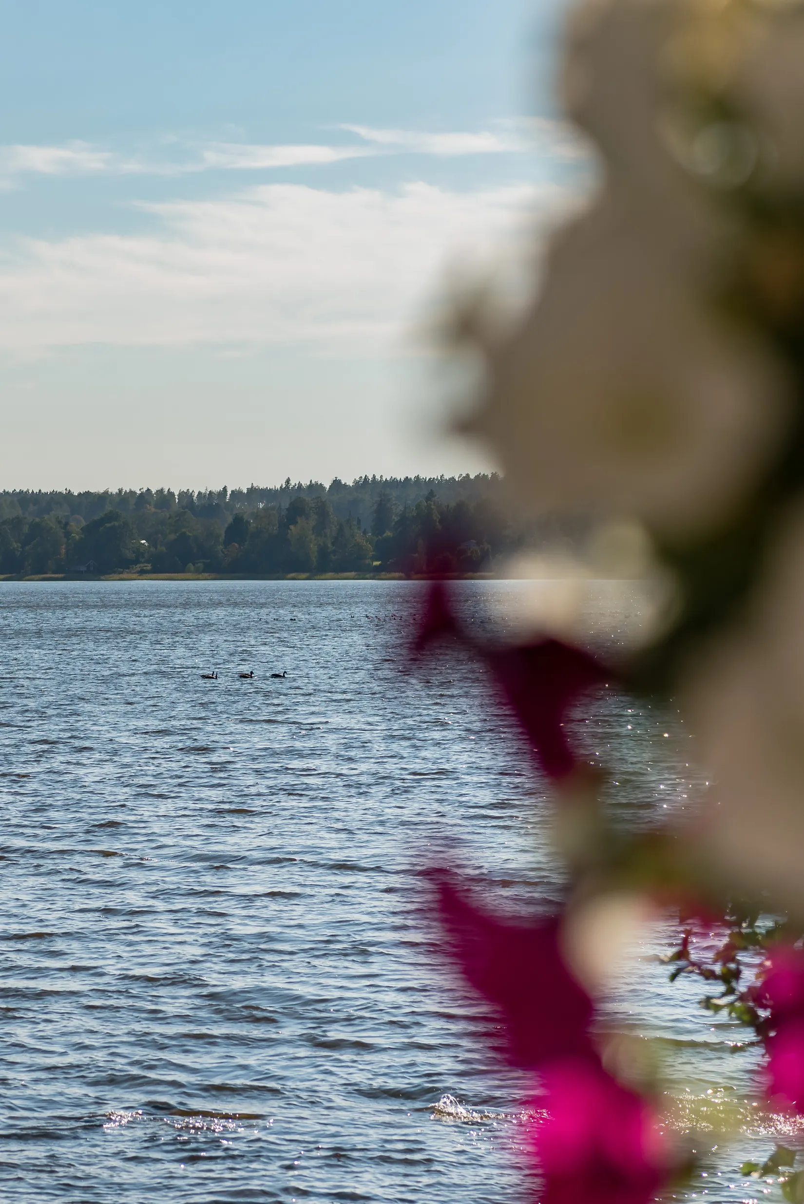 Villa, Alsters-Nybacka 528, Alsters-Nybacka, Karlstad