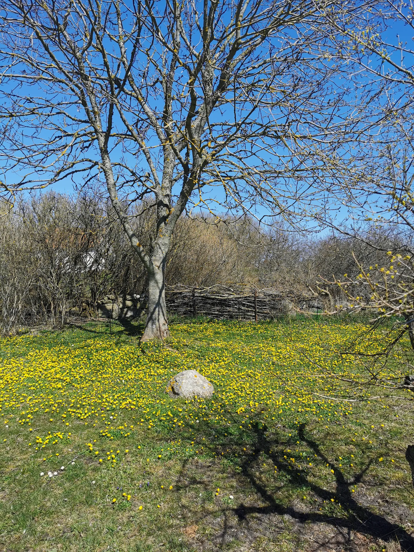 Fritidshus, Valarvägen 4, Burgsvik samhälle, Gotland