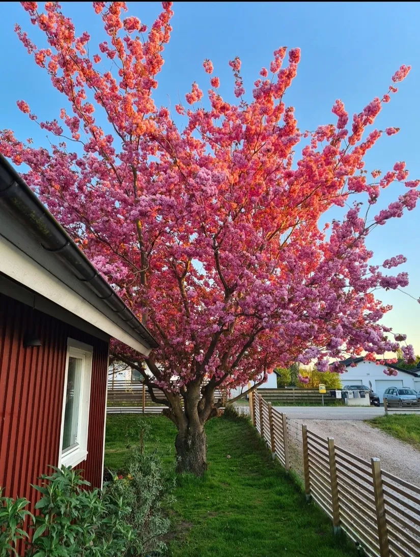 Villa, Tommarpsvägen 388, Västra Tommarp, Trelleborg