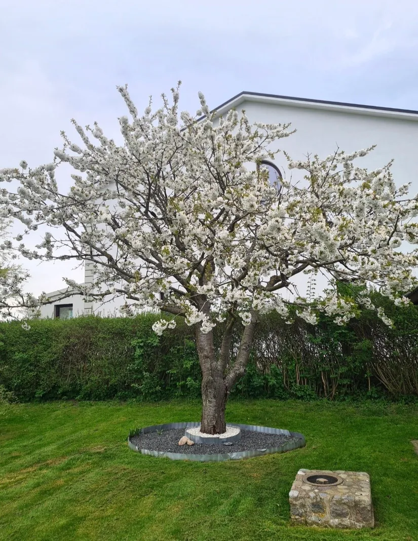 Villa, Tommarpsvägen 388, Västra Tommarp, Trelleborg