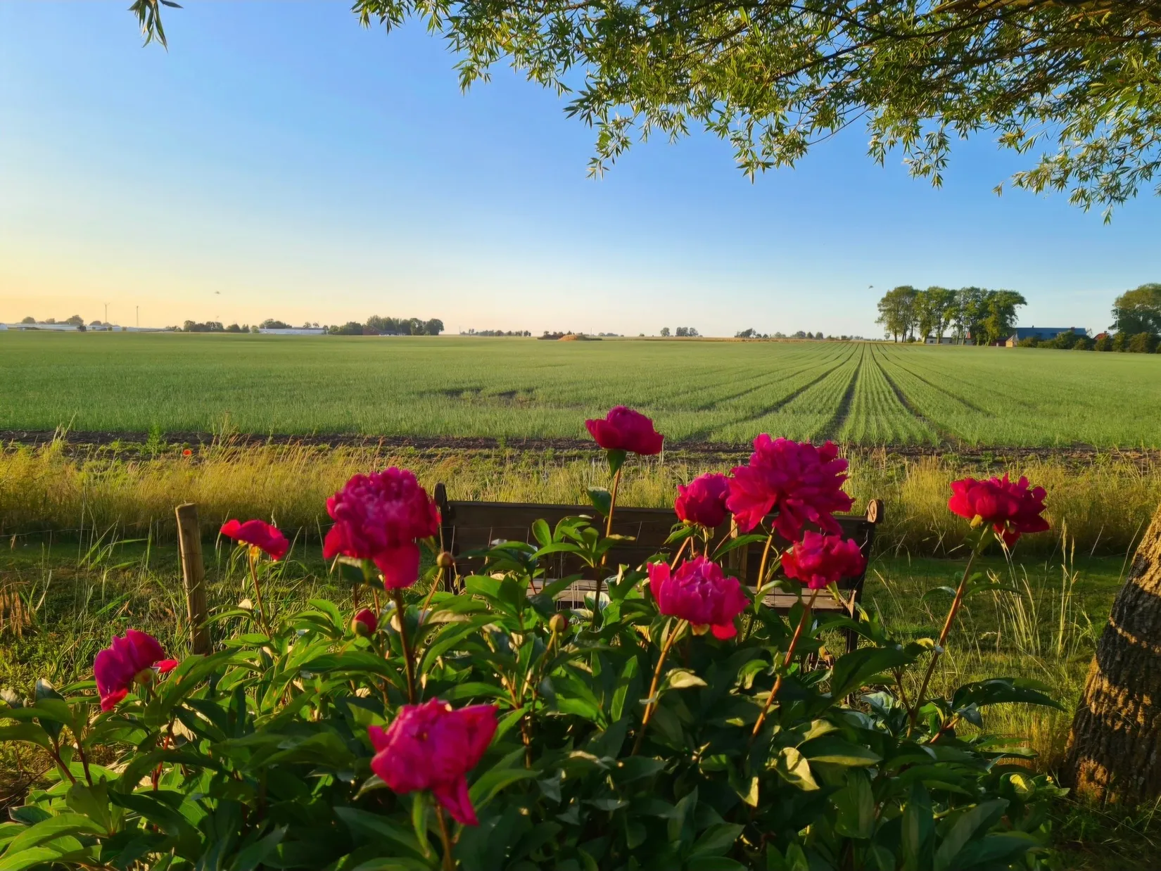 Villa, Tommarpsvägen 388, Västra Tommarp, Trelleborg