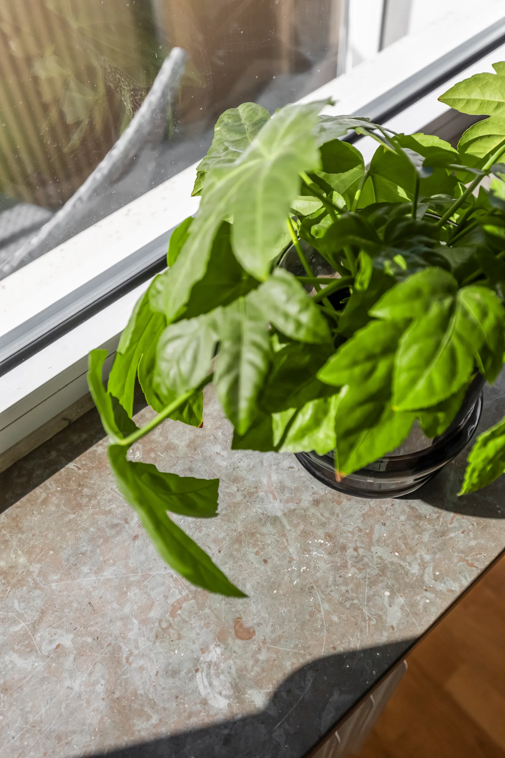 Bostadsrätt, Sallerupsvägen 30, Ellstorp, Malmö