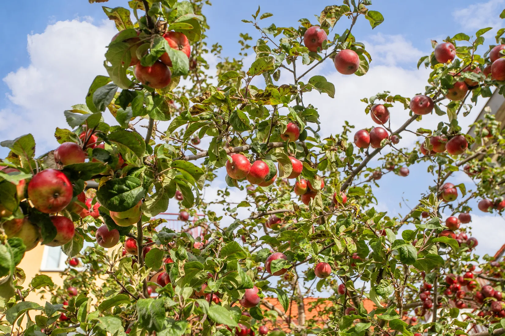 Bostadsrätt, Järla gårdsväg 25, Järla Sjö, Nacka