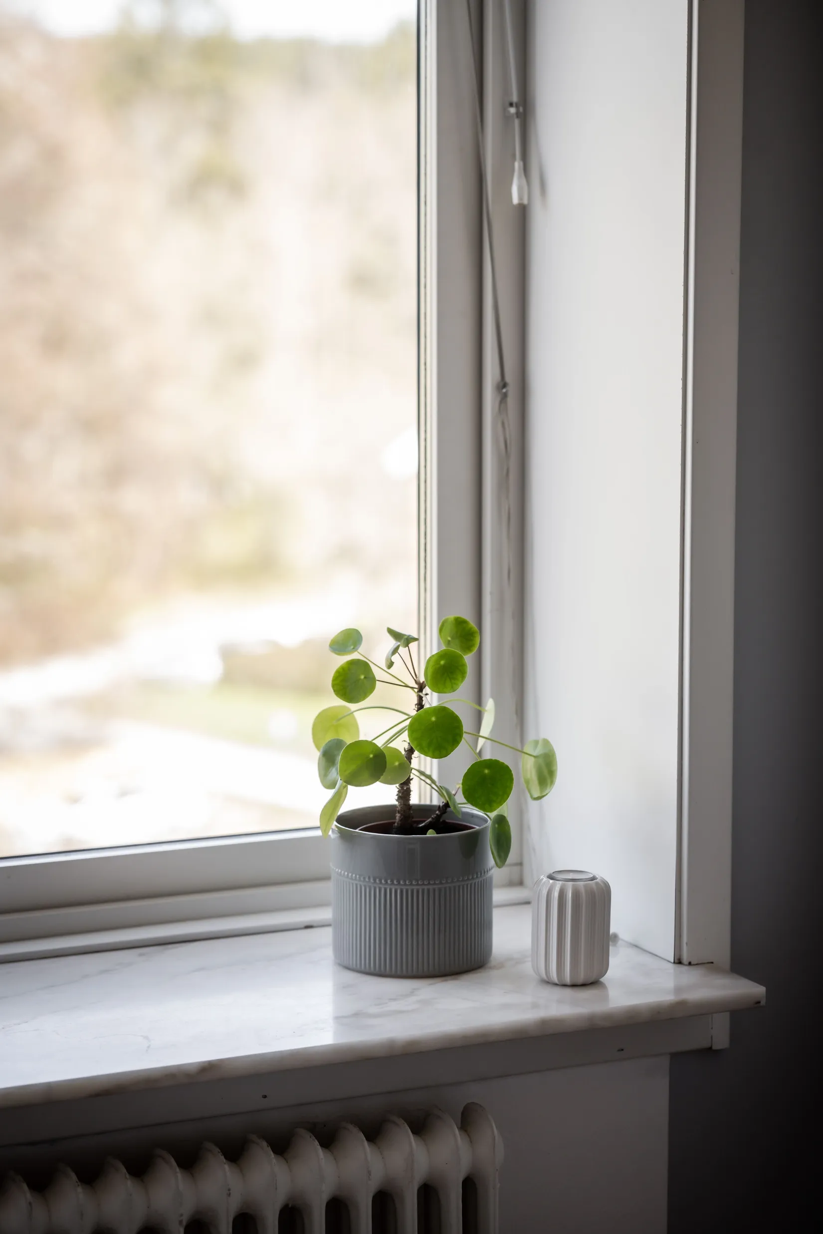 Bostadsrätt, Barnhemsgatan 36, Sjöbo, Borås