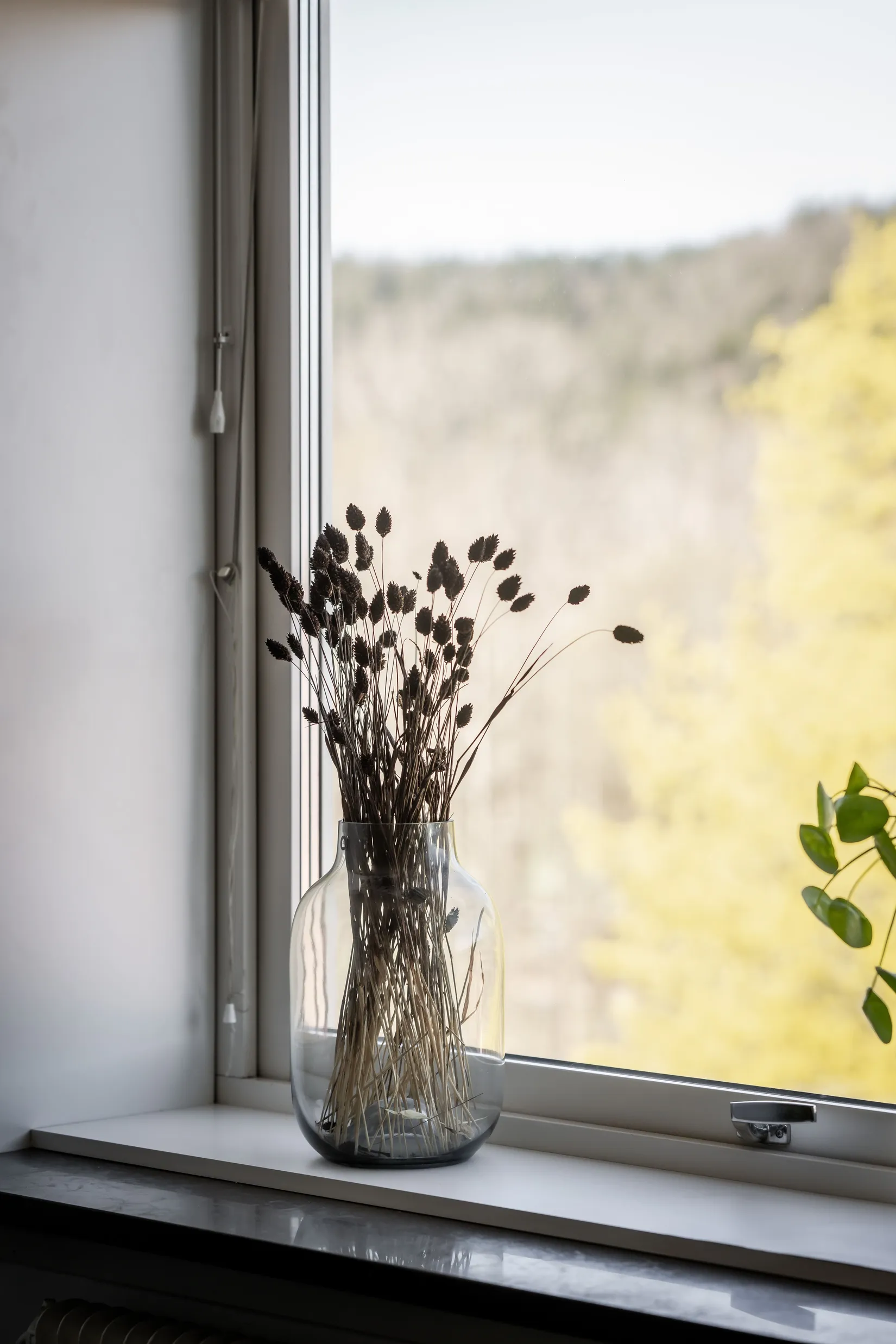 Bostadsrätt, Barnhemsgatan 36, Sjöbo, Borås