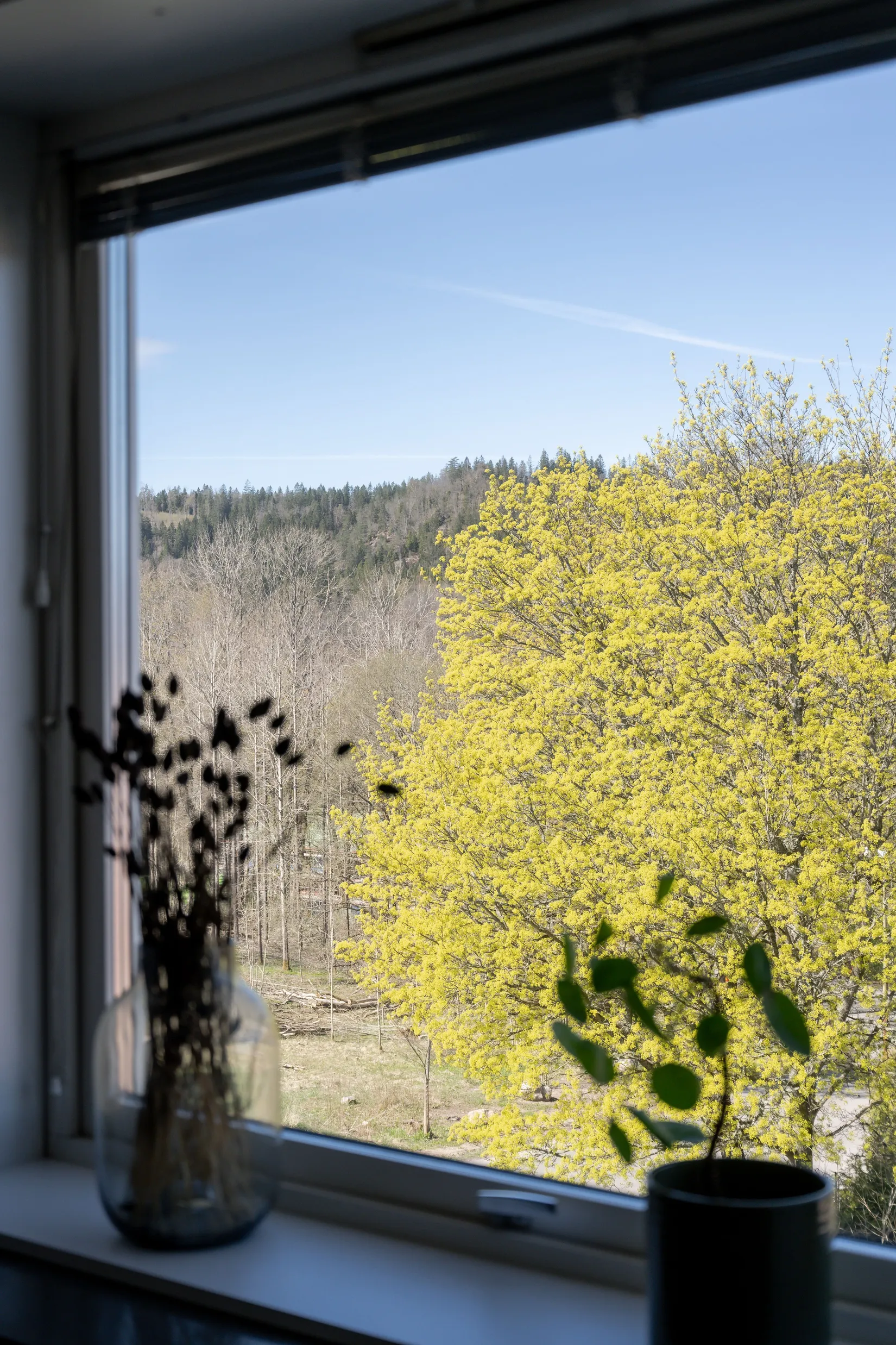 Bostadsrätt, Barnhemsgatan 36, Sjöbo, Borås