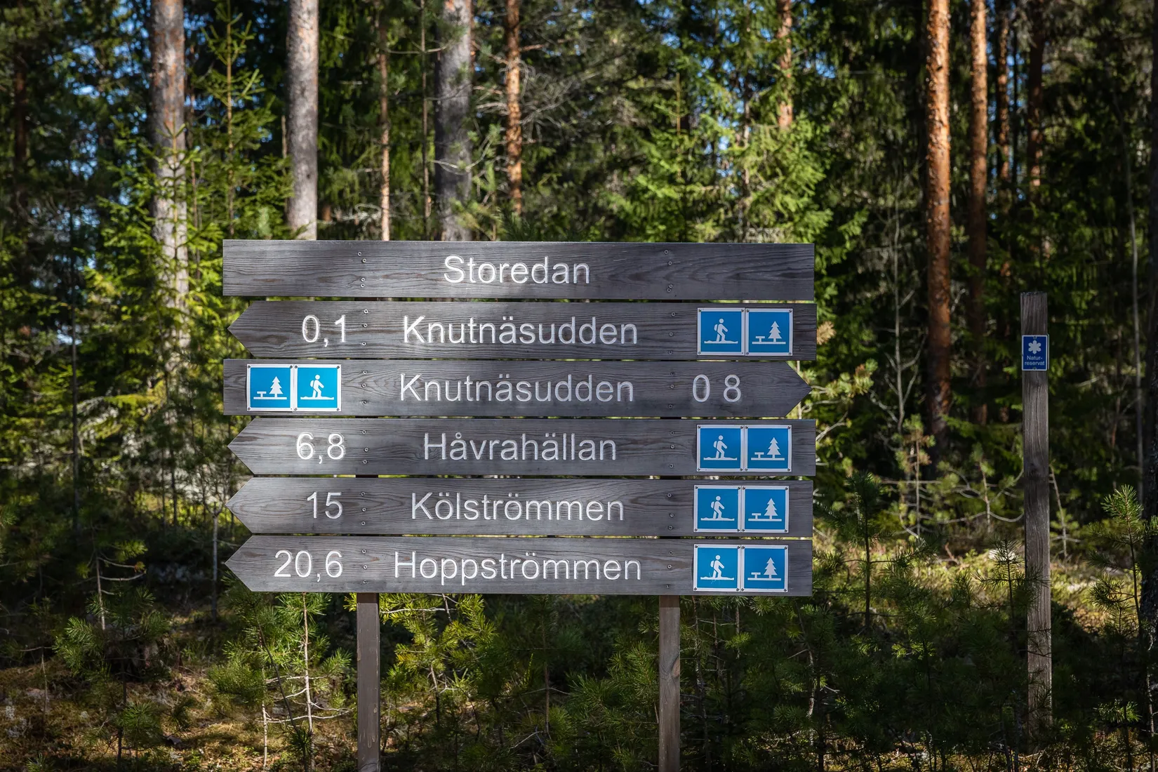 Gård/Skog, Sköldmovägen 2, Veckebo, Ljusdal