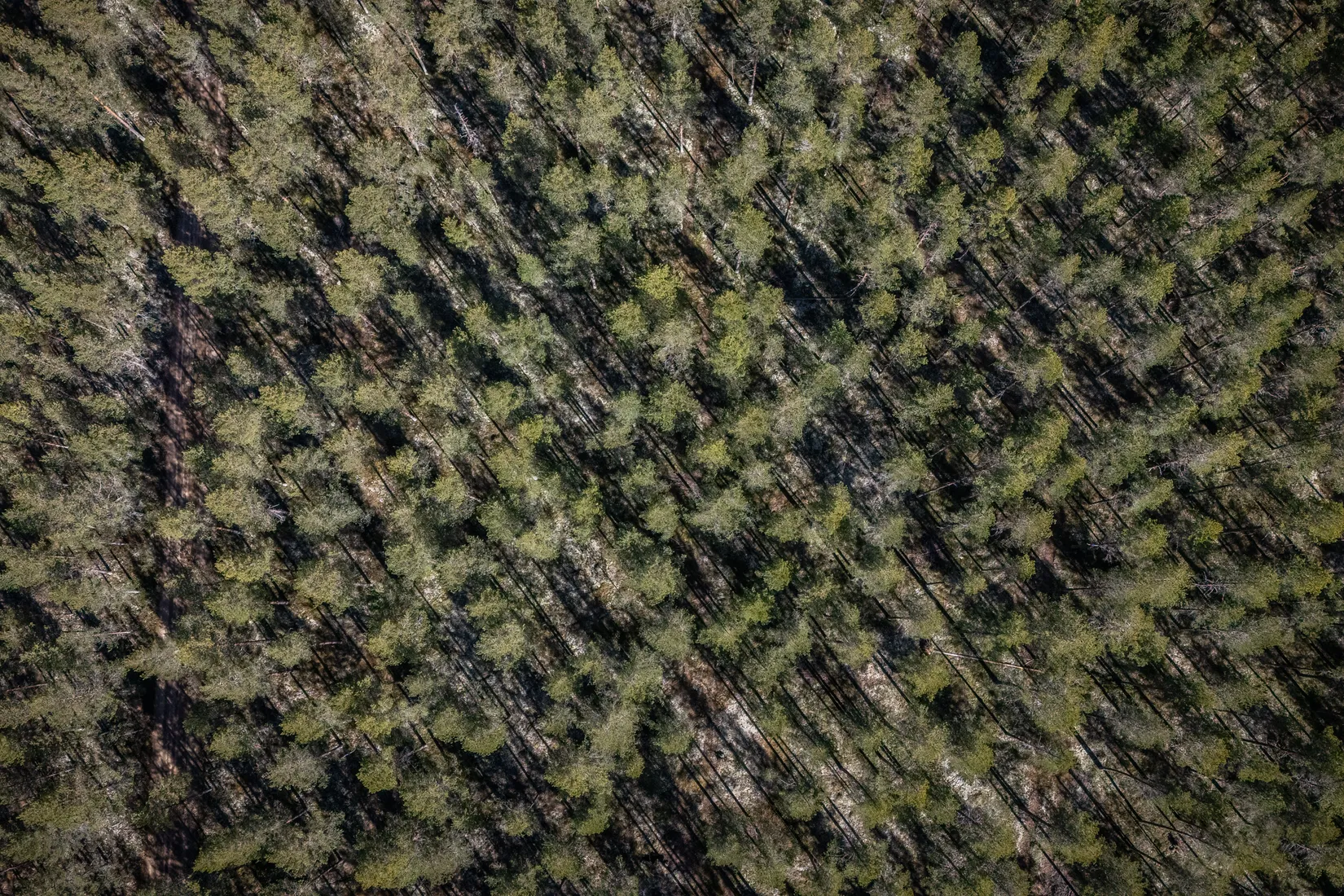 Gård/Skog, Sköldmovägen 2, Veckebo, Ljusdal