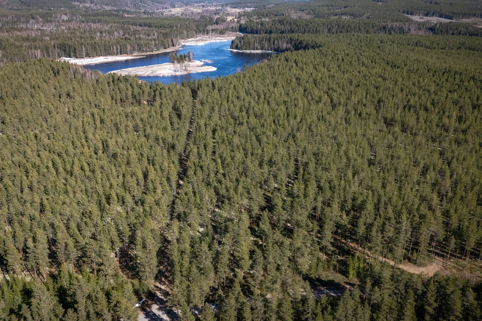 Gård/Skog, Sköldmovägen 2, Veckebo, Ljusdal