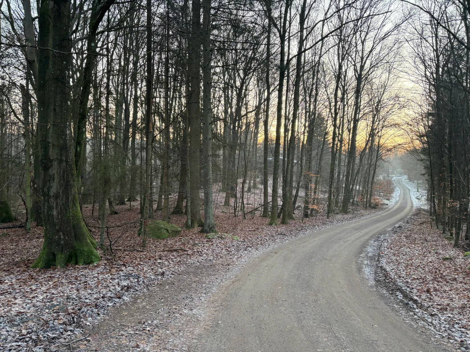 Tomt, Broslätt Morkullavägen 7, Höör