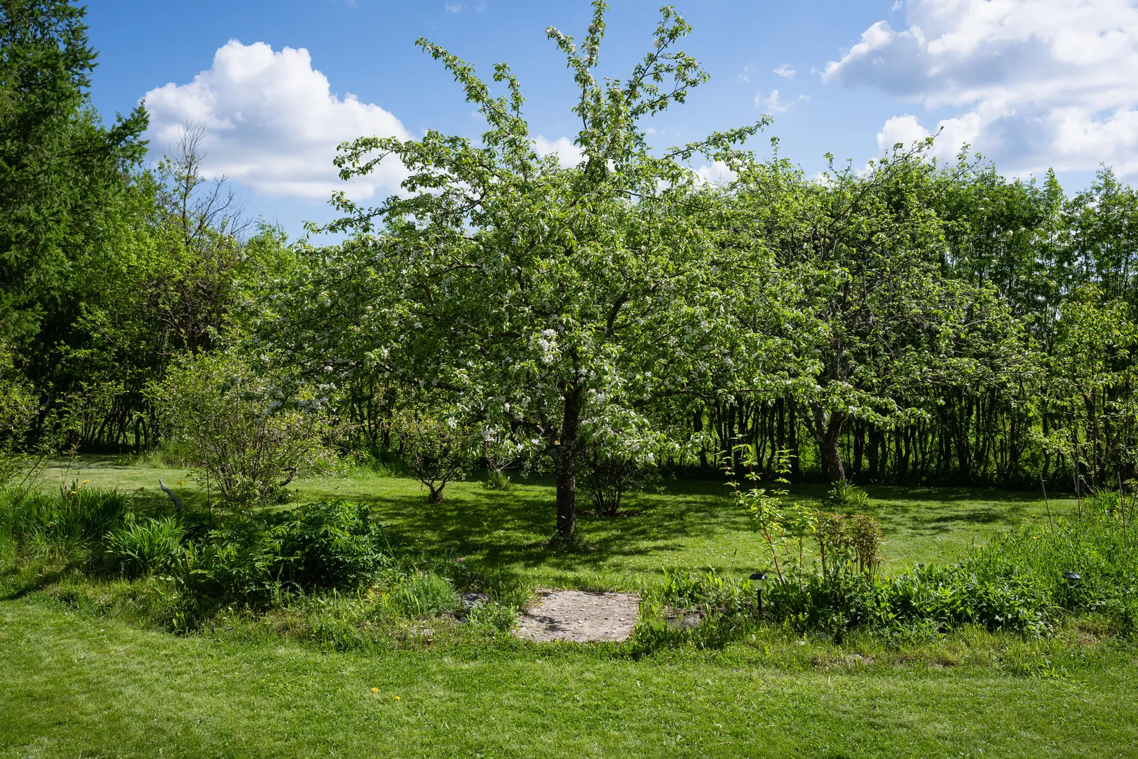Gård/Skog, Valliden 49, Skellefteå