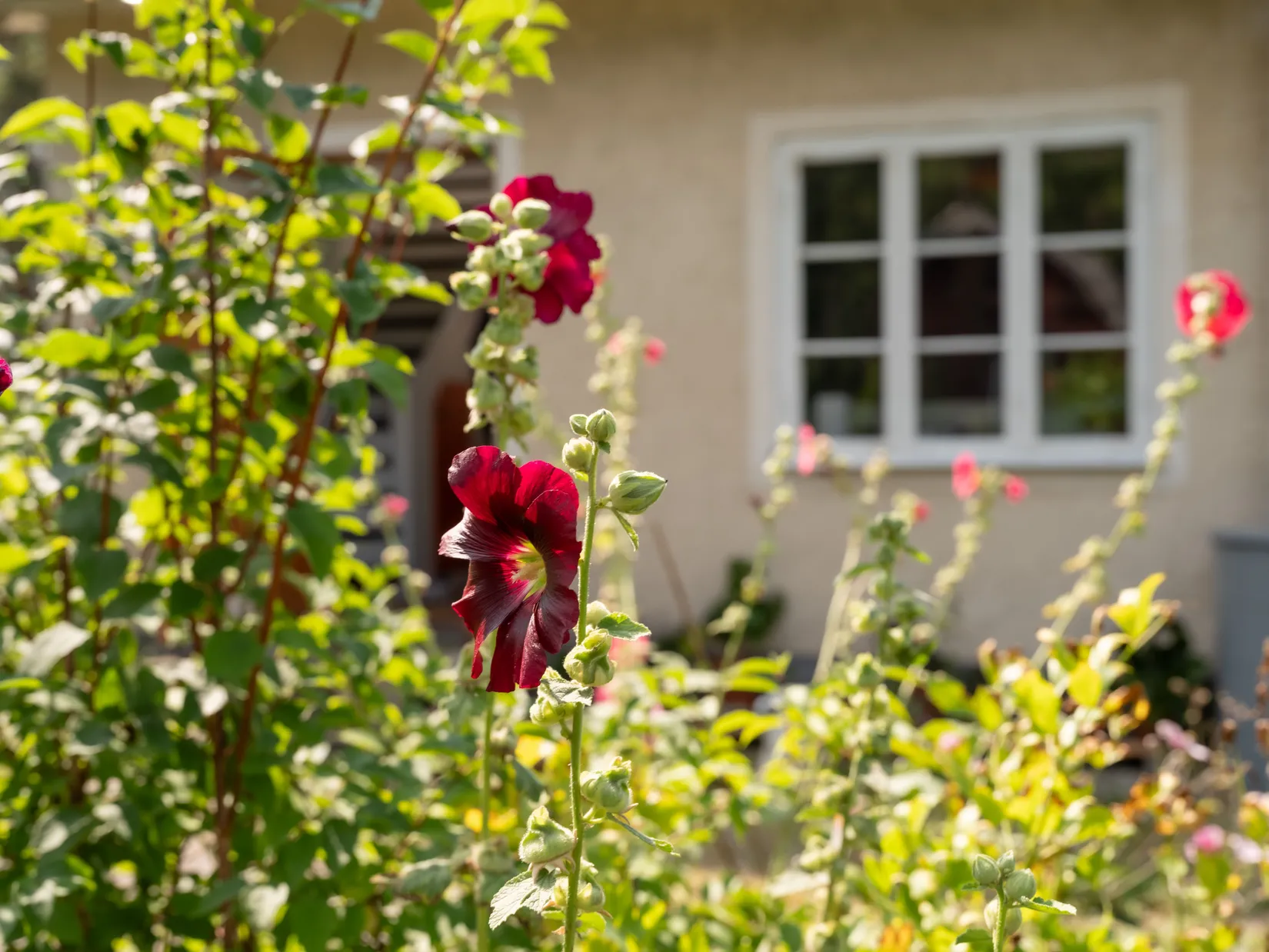 Villa, Hangvar Olarve 607, Norra Gotland, Gotland