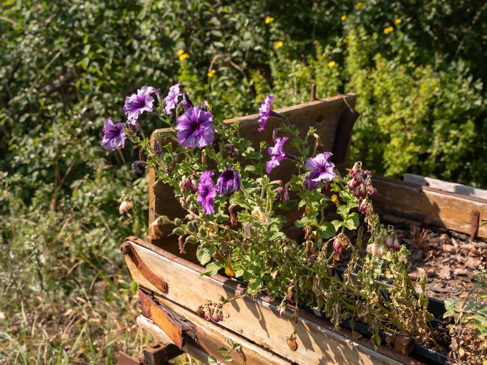 Villa, Hangvar Olarve 607, Norra Gotland, Gotland