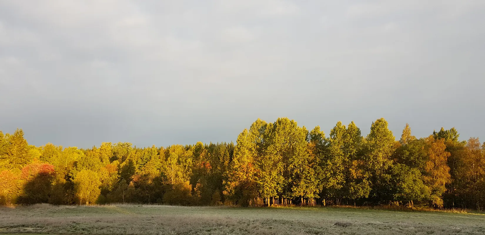 Gård/Skog, Sålhults gård, Burseryd, Gislaved