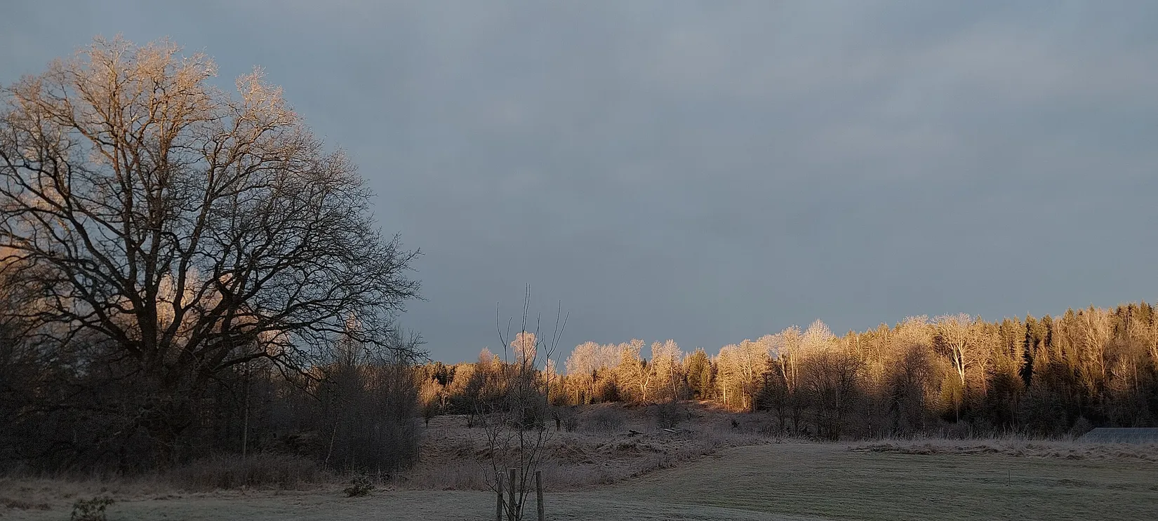 Gård/Skog, Sålhults gård, Burseryd, Gislaved