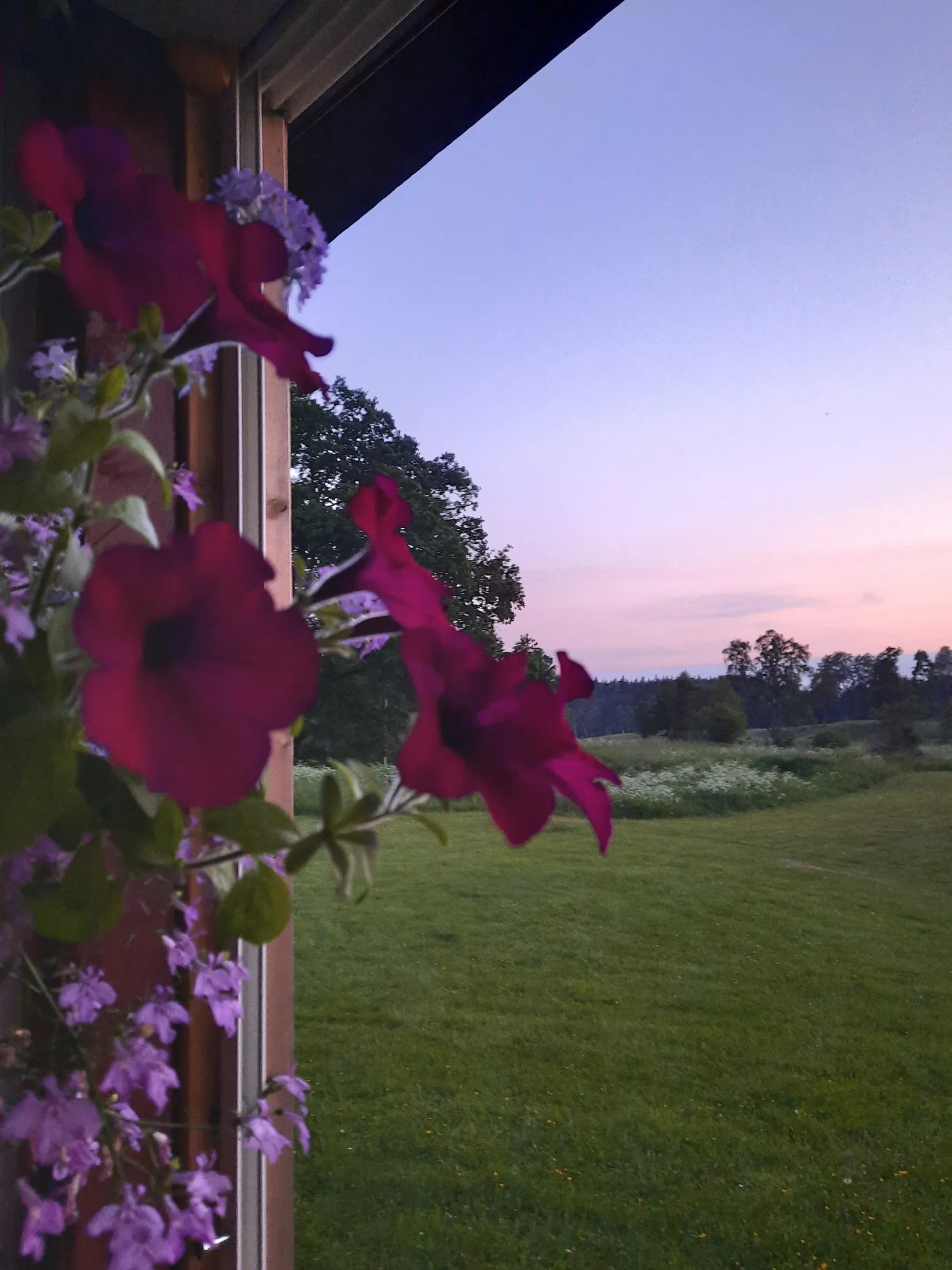 Gård/Skog, Sålhults gård, Burseryd, Gislaved