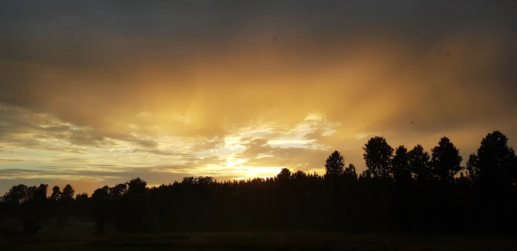 Gård/Skog, Sålhults gård, Burseryd, Gislaved