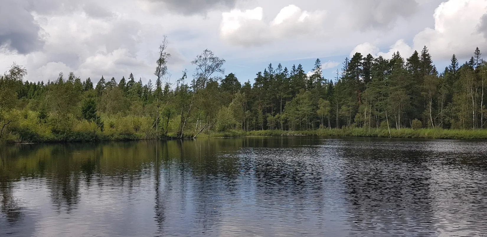 Gård/Skog, Sålhults gård, Burseryd, Gislaved