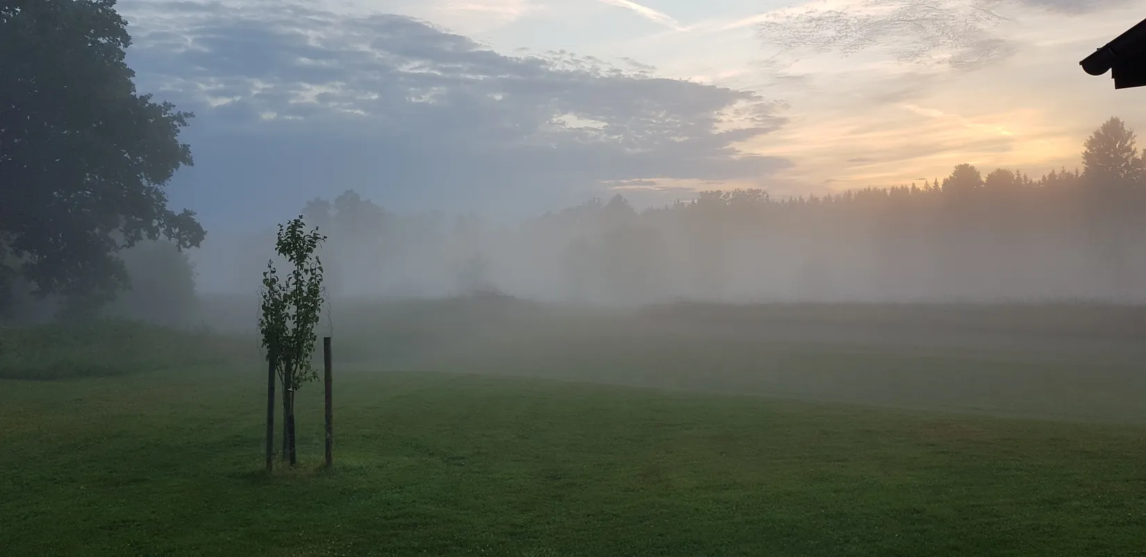 Gård/Skog, Sålhults gård, Burseryd, Gislaved