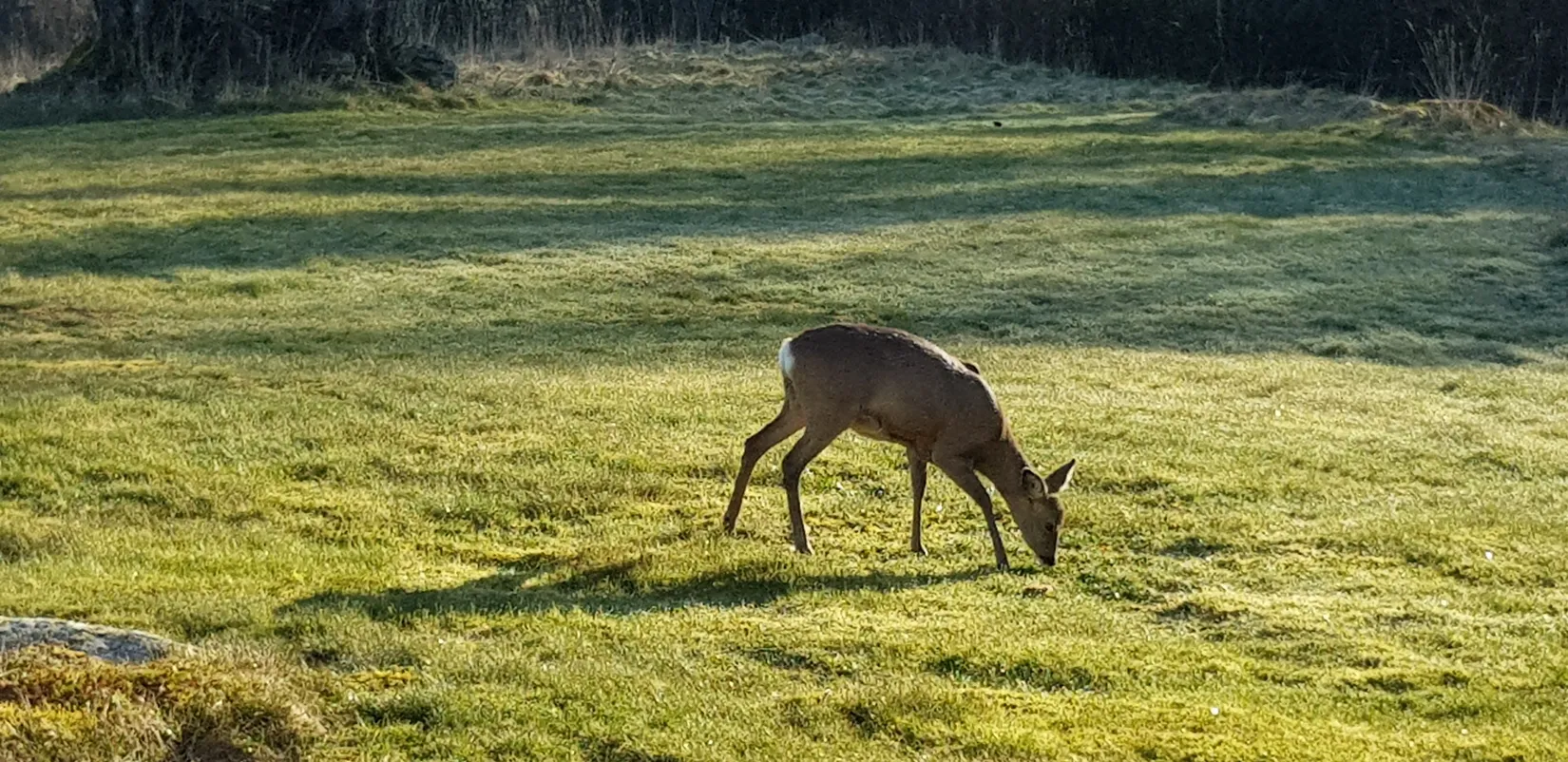 Gård/Skog, Sålhults gård, Burseryd, Gislaved