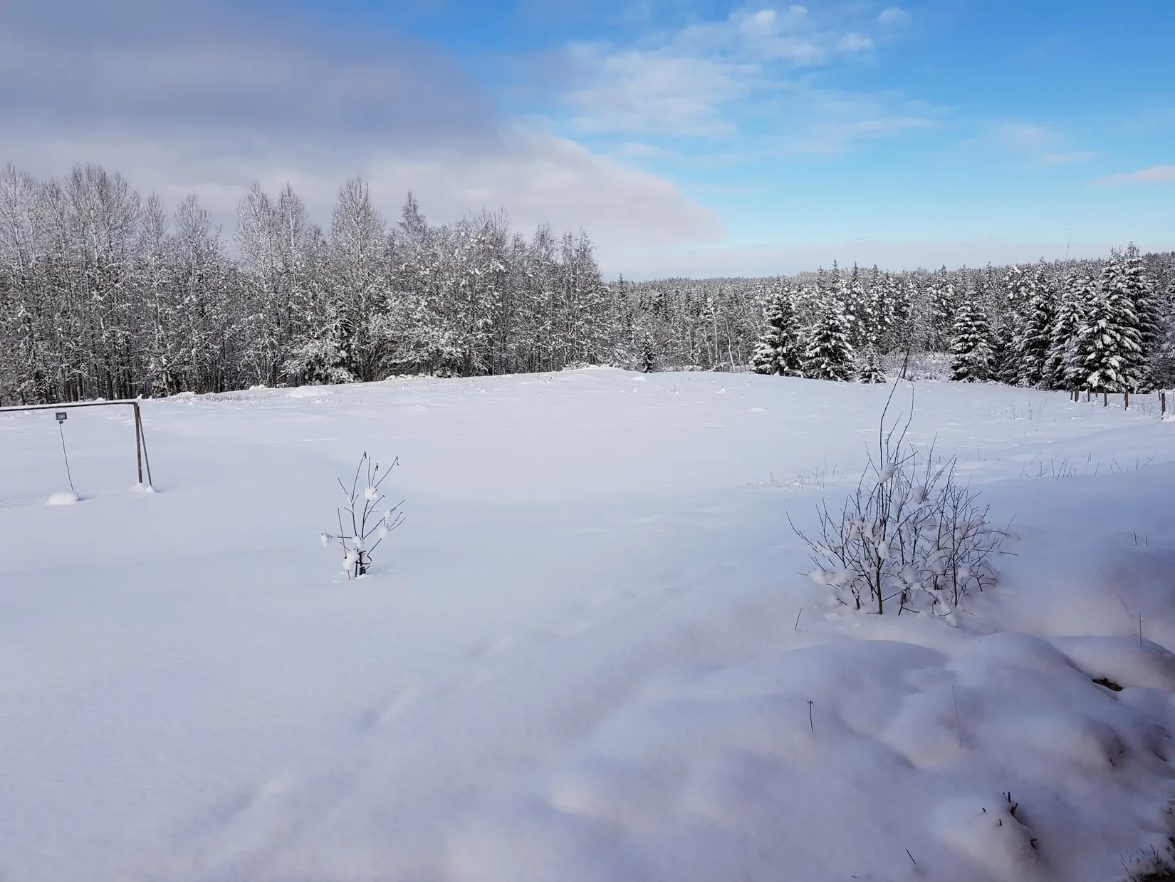 Gård/Skog, Sålhults gård, Burseryd, Gislaved