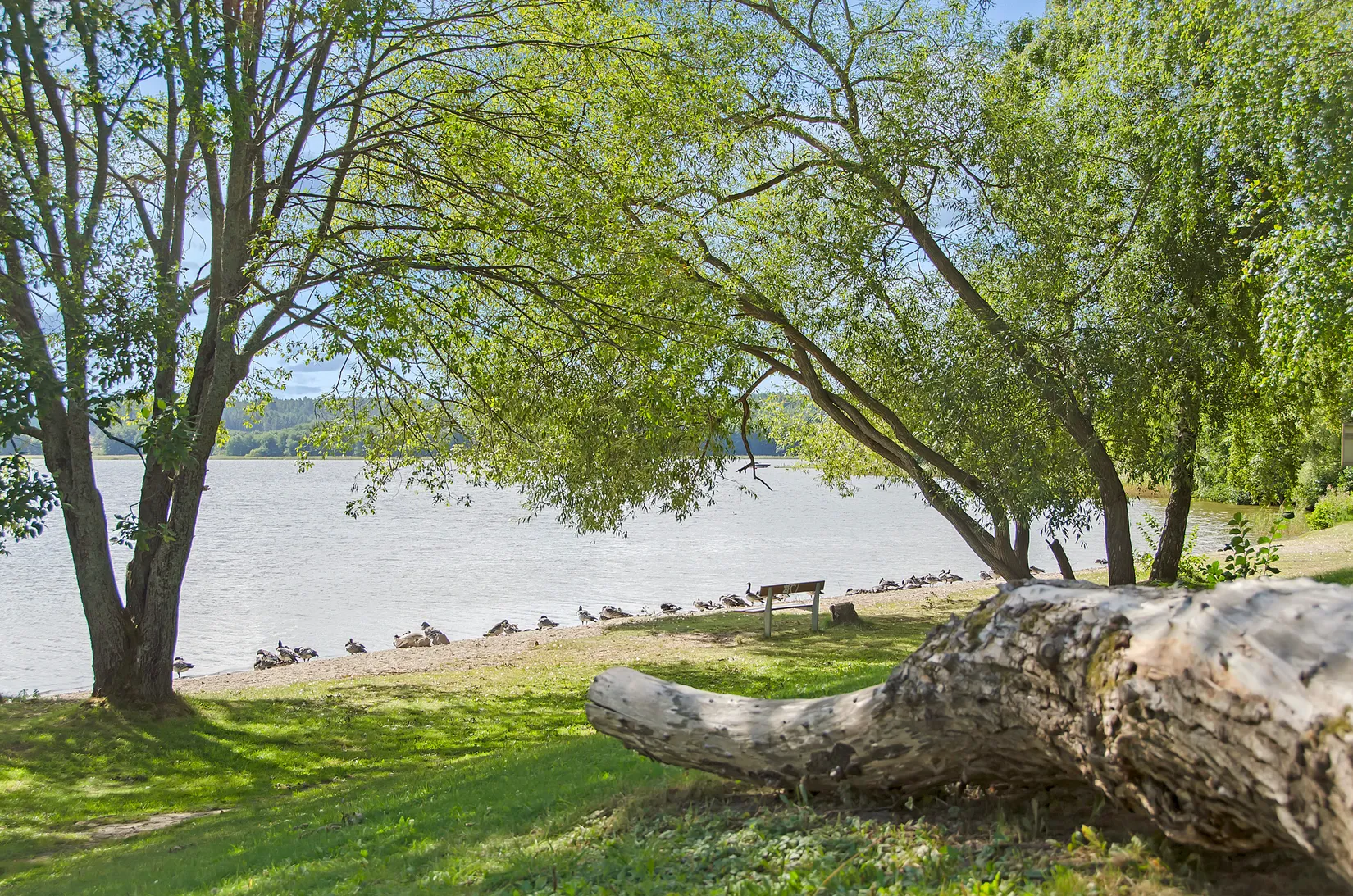 Bostadsrätt, Radhus, Kontringsvägen 28, Ekerö Träkvista, Ekerö